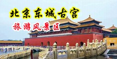 农村胖女人操逼视频中国北京-东城古宫旅游风景区